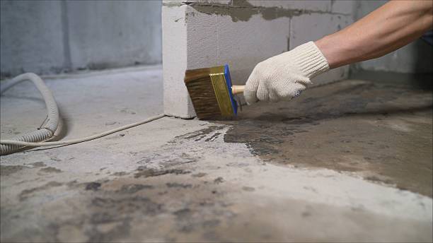 SJ Waterproofing Pros Waterproofing coverage map for Lake Odessa, MI and surrounding area
